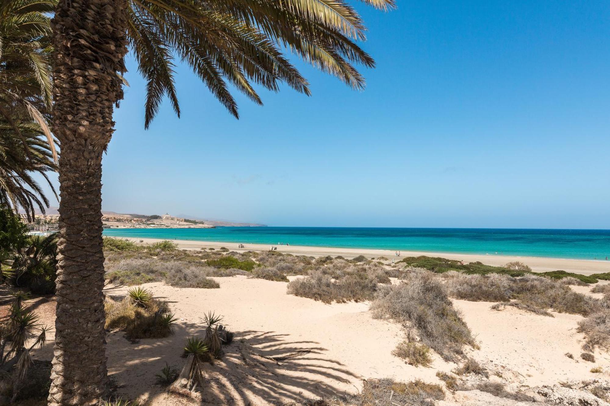 Home2Book Private Pool & Terrace, Aloha Sun Villa كوراليهو المظهر الخارجي الصورة