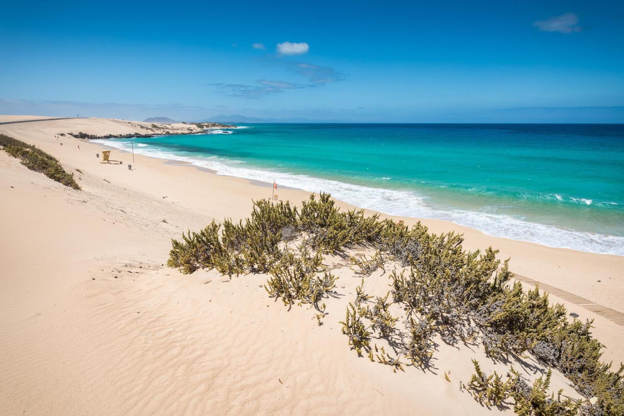Home2Book Private Pool & Terrace, Aloha Sun Villa كوراليهو المظهر الخارجي الصورة